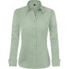 Morandi Green